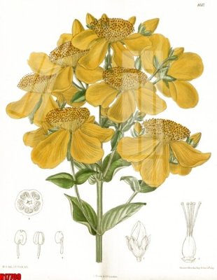 File gốc File tranh gốc in tranh tường nền tổng hợp H17709 (in ấn) không giới hạn