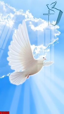 Tải file File tranh gốc in tranh tường nền tổng hợp H18038 (ảnh gốc) in gạch 3D