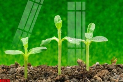 File gốc File tranh gốc in tranh tường nền tổng hợp H18220 (dành cho quảng cáo)