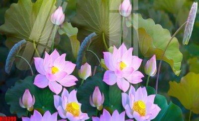 File gốc File tranh gốc in tranh tường nền tổng hợp H18399 (trang trí) cho phòng khách