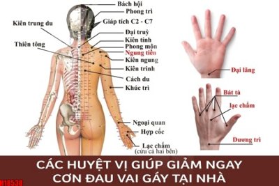 File tranh File tranh gốc in tranh tường nền tổng hợp H18538 (bản gốc) in canvas