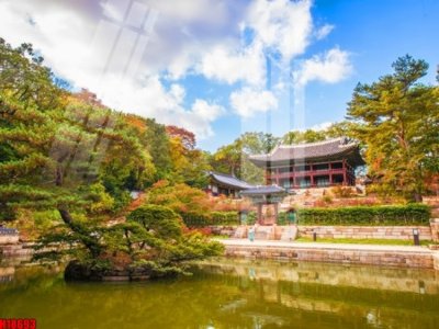 File gốc File tranh gốc in tranh tường nền tổng hợp H18693 (PSD/TIFF) độ phân giải cao