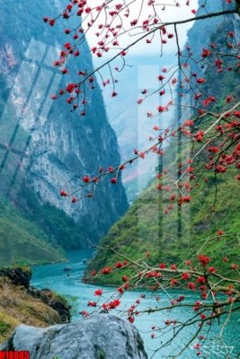 Tải file File tranh gốc in tranh tường nền tổng hợp H18885 (ảnh gốc) file TIFF