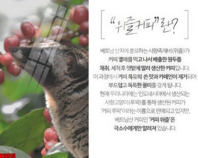 Tải file File tranh gốc in tranh tường nền tổng hợp H18915 (gốc) in ấn ngay lập tức