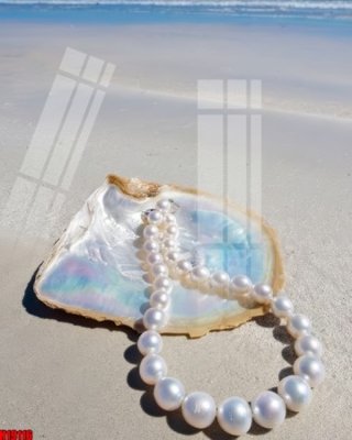 File gốc in tráng gương File tranh gốc in tranh tường nền tổng hợp H19116 chi tiết