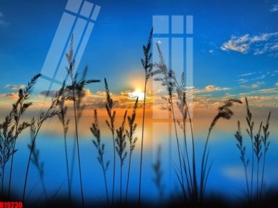 Tải file File tranh gốc in tranh tường nền tổng hợp H19230 (ảnh gốc) độ phân giải 300dpi