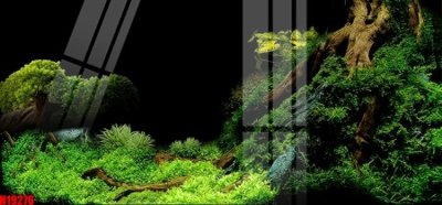 File gốc File tranh gốc in tranh tường nền tổng hợp H19276 (chủ đề hiện đại) trang trí