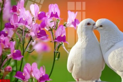 Tải file File tranh gốc in tranh tường nền tổng hợp H19420 (gốc) chủ đề tôn giáo