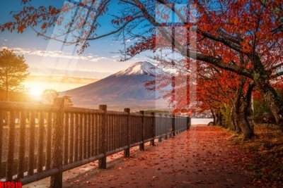 File tranh File tranh gốc in tranh tường nền tổng hợp H19519 (gốc) chủ đề động vật