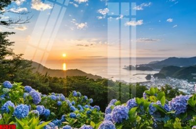 File in mica File tranh gốc in tranh tường nền tổng hợp H20218 (bản gốc) siêu trong