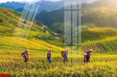 File in trần File tranh gốc in tranh tường nền tổng hợp H20290 (file gốc) phong thủy