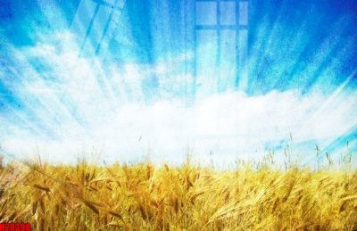 Tải file gốc File tranh gốc in tranh tường nền tổng hợp H20398 (in không vỡ ảnh)