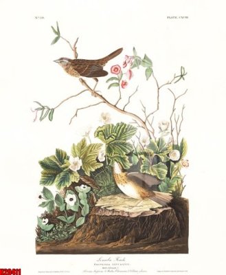 File gốc File tranh gốc in tranh tường nền tổng hợp H20411 (ảnh chi tiết) để in trần