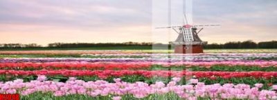 File in ấn File tranh decor tranh bộ treo tường tổng hợp H2048 (bản gốc) cao cấp