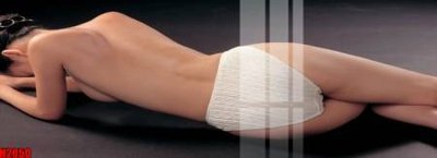 File in mica File tranh decor tranh bộ treo tường tổng hợp H2050 (bản gốc) siêu trong