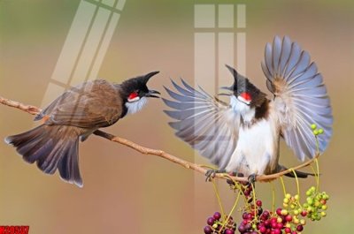 File gốc in ấn File tranh gốc in tranh tường nền tổng hợp H20537 (sẵn sàng tải về)