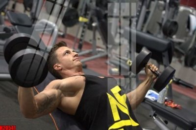 File tranh gốc File tranh gốc in tranh tường nền tổng hợp H20541 (sắc nét từng chi tiết)