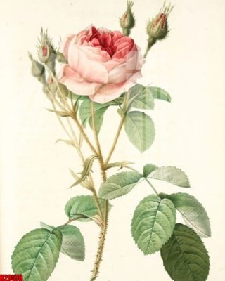 File gốc in ấn File tranh gốc in tranh tường nền tổng hợp H20578 (sẵn sàng tải về)