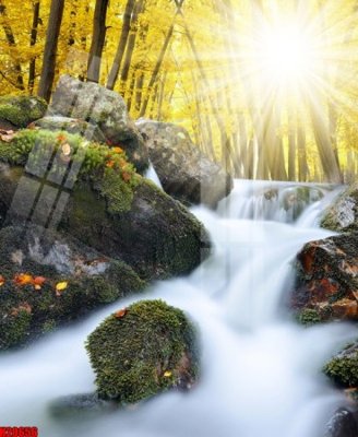 File tranh File tranh gốc in tranh tường nền tổng hợp H20656 (bản gốc) in lụa 5D