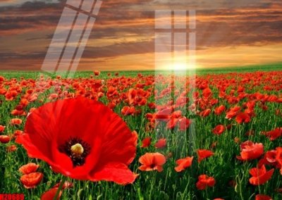 Mua file gốc File tranh gốc in tranh tường nền tổng hợp H20689 (PSD) tại Filetranh.com