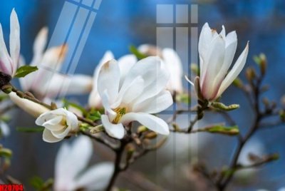 Tải về file gốc File tranh gốc in tranh tường nền tổng hợp H20704 (chuẩn in ấn)