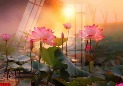 File gốc in ấn File tranh gốc in tranh tường nền tổng hợp H20863 (sẵn sàng tải về)