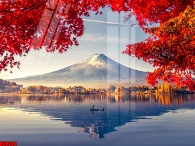 File in trần File tranh gốc in tranh tường nền tổng hợp H20884 (bản gốc) đại dương