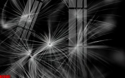 File gốc File tranh gốc in tranh tường nền tổng hợp H20987 (in tráng gương) sang trọng