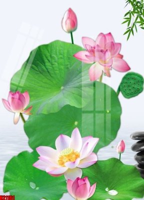 File tranh File tranh gốc in tranh tường nền tổng hợp H21161 (gốc) chủ đề thiên nhiên