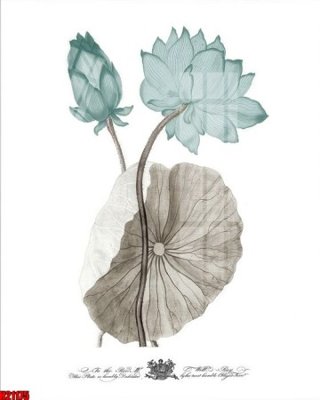 Tải file File tranh gốc in tranh tường nền tổng hợp H21175 (PSD) cho in ấn quảng cáo