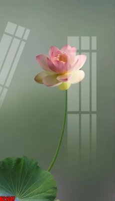 File gốc File tranh gốc in tranh tường nền tổng hợp H21247 (in 3D) cho trang trí