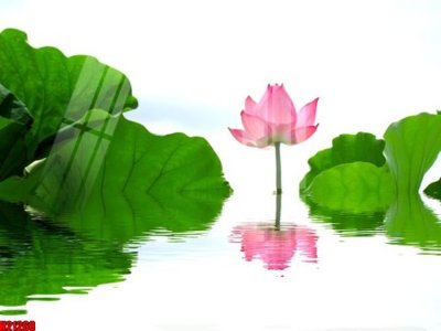 File ảnh File tranh gốc in tranh tường nền tổng hợp H21268 (gốc) in backdrop sự kiện