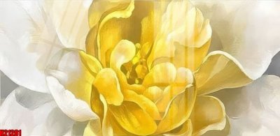 File gốc in tráng gương File tranh gốc in tranh tường nền tổng hợp H21281 chi tiết