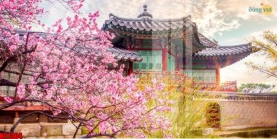 File gốc File tranh gốc in tranh tường nền tổng hợp H21304 (ảnh chi tiết) để in ấn