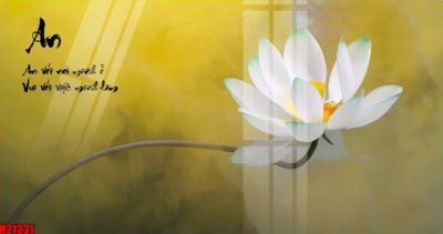 File gốc File tranh gốc in tranh tường nền tổng hợp H21331 (chuẩn màu) cho in offset