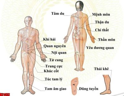 Tải file gốc File tranh gốc in tranh tường nền tổng hợp H21432 (để in lụa)