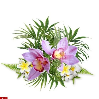 File tranh File tranh gốc in tranh tường nền tổng hợp H21510 (gốc) in film