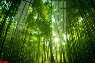 File gốc File tranh gốc in tranh tường nền tổng hợp H21528 (in mica) trang trí