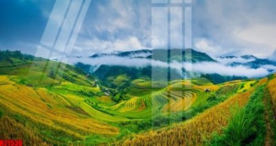 File gốc File tranh gốc in tranh tường nền tổng hợp H21536 (ảnh rõ nét) để in