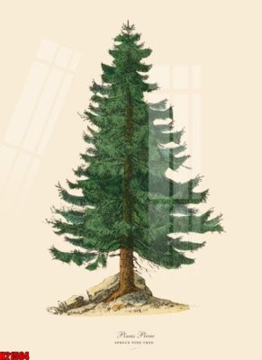 File gốc File tranh gốc in tranh tường nền tổng hợp H21564 (in 3D) cho trang trí