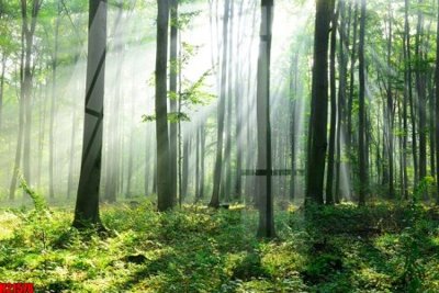 Mua file gốc File tranh gốc in tranh tường nền tổng hợp H21578 (in ấn) tại Filetranh.com