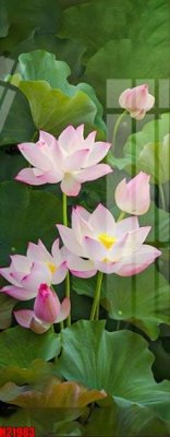 Chi tiết file tranh tráng gương File tranh gốc in tranh tường nền tổng hợp H21983 (ảnh gốc)