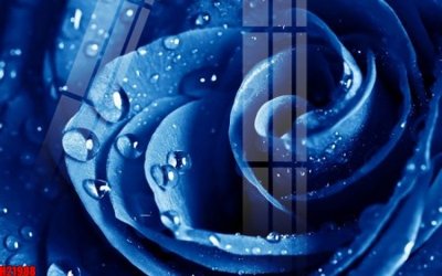 File tranh File tranh gốc in tranh tường nền tổng hợp H21988 (ảnh gốc) sắc nét hoàn hảo