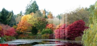 Tải về hình ảnh gốc File tranh gốc in tranh tường nền tổng hợp H22053 sắc nét