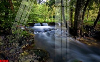 File in trần File tranh gốc in tranh tường nền tổng hợp H22065 (bản gốc 3D) sống động