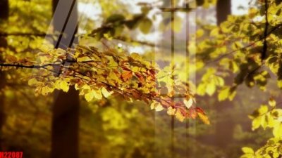 File tranh trang trí File tranh gốc in tranh tường nền tổng hợp H22087 (file gốc)