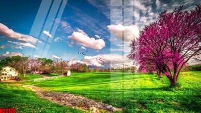 Hình ảnh gốc File tranh gốc in tranh tường nền tổng hợp H22120 (để in khổ lớn)