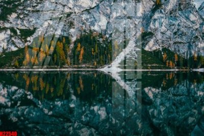 Tải file gốc in lụa File tranh gốc in tranh tường nền tổng hợp H22540 siêu nét