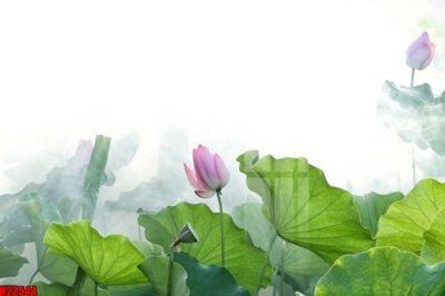 File gốc File tranh gốc in tranh tường nền tổng hợp H22544 (phong cách) châu Âu