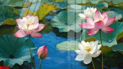 Tải file gốc File tranh gốc in tranh tường nền tổng hợp H22547 (in tráng gương) cao cấpFile gốc File tranh gốc in tranh tường nền tổng hợp H22547 (in ấn) phiên bản độc quyền